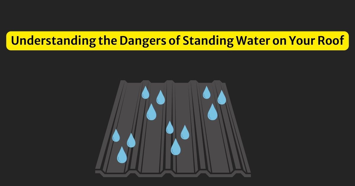 Understanding the Dangers of Standing Water on Your Roof