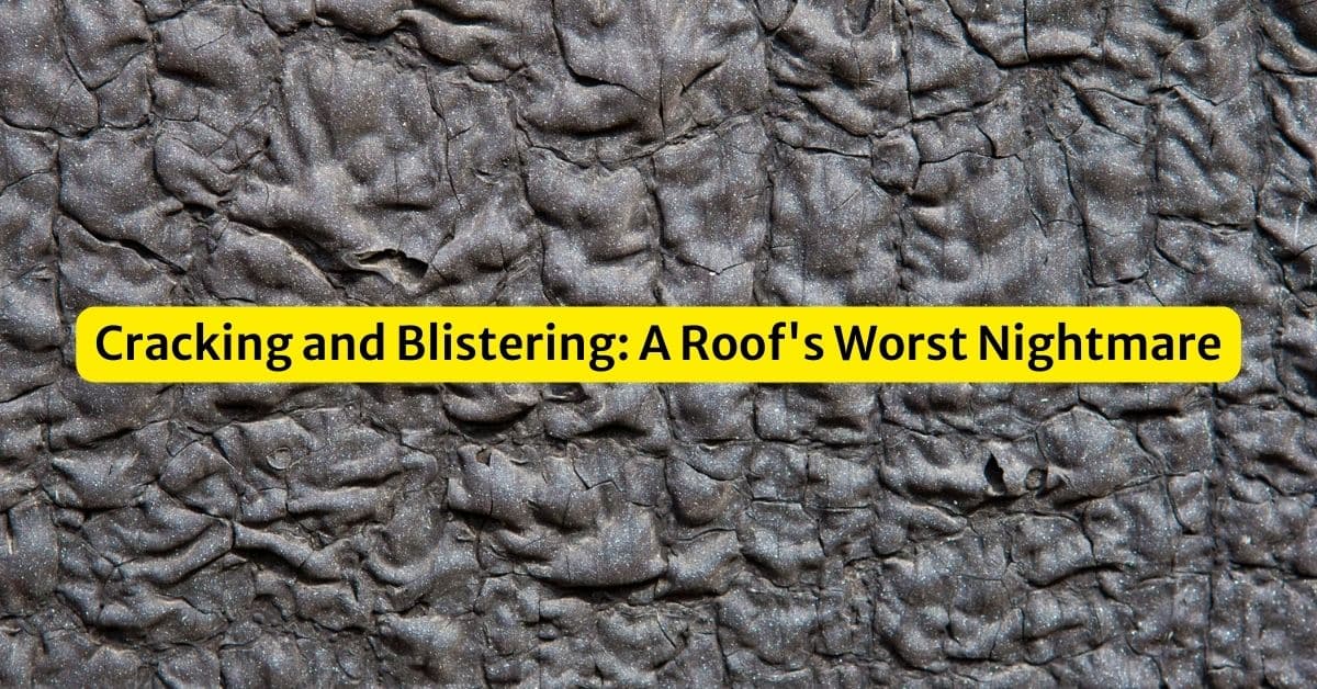 Cracking and Blistering: A Roof’s Worst Nightmare