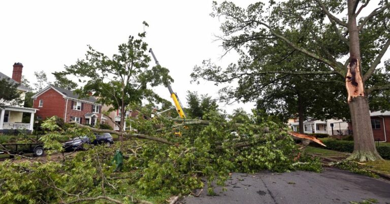 Storm Damage: The First Steps to Take for Your Home